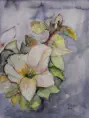 Christrose, Aquarell, 2019, 40 x 30 cm